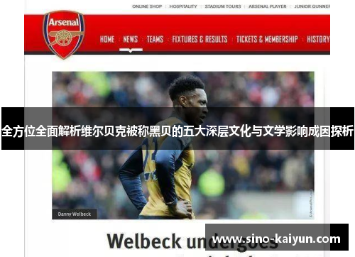 全方位全面解析维尔贝克被称黑贝的五大深层文化与文学影响成因探析