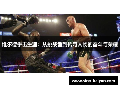 维尔德拳击生涯：从挑战者到传奇人物的奋斗与荣耀