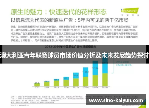 澳大利亚青年联赛球员市场价值分析及未来发展趋势探讨